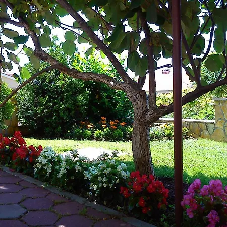 Apartment Buljan