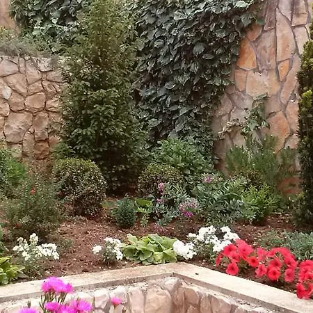 Apartment Buljan